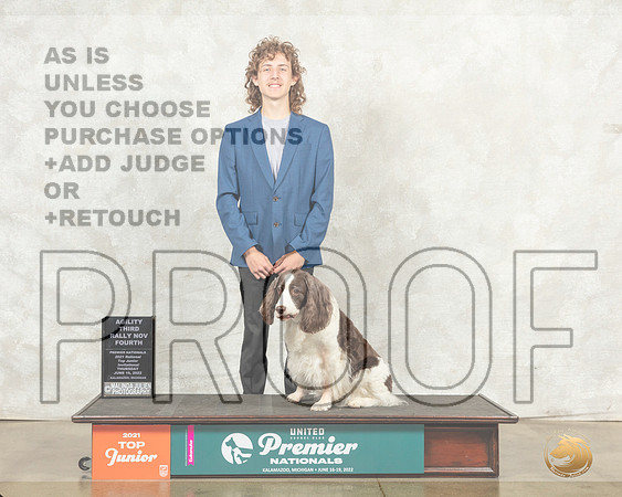 English Springer Spaniel #832 ARNov Judge Kim Thomason__MJ_8293_Premier_2022_HR3