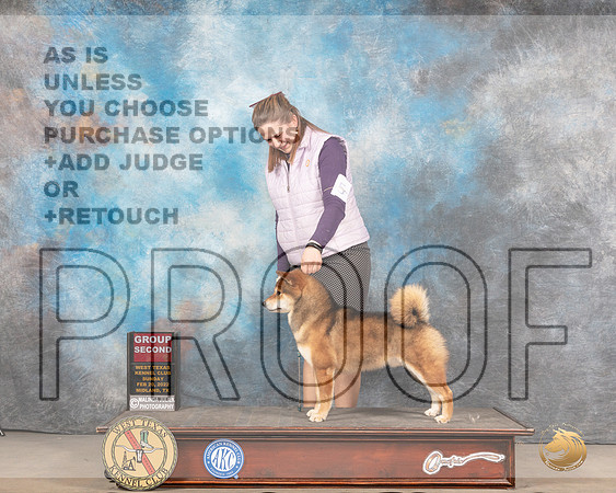 Shiba Inu #5 Sun G2 Judge Jim FehringMMJ_5693_Mdlnd2022_HR3