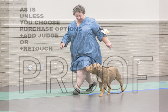 Bully Rings Fri Ring 1_JJL_6908_UKCLNGVIEWOCT2024_2024_HR3