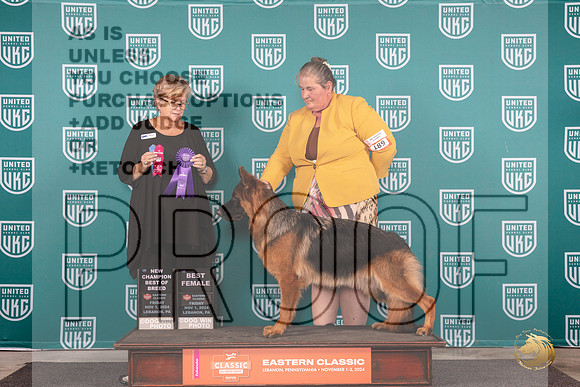 German Shepherd Dog #189 Fri BOBCH Judge Kathy Russell__JP_1820_UKCEastern_2024_HR3
