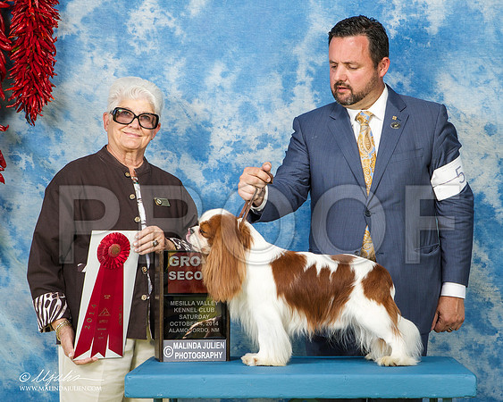 _ST_3028-AlamogordoOct2014-HR3