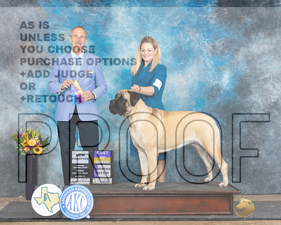 Mastiff #10 Fri WBBOBCH Judge Rick Gschwender_JP_0002e_Abilene_2024-HR3
