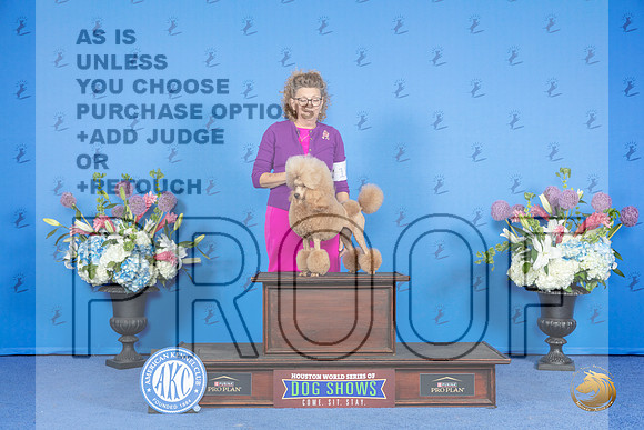 Poodle Miniature #12 SUN OHG2 Judge James Moses__JP_0905_Houston_2024_HR3