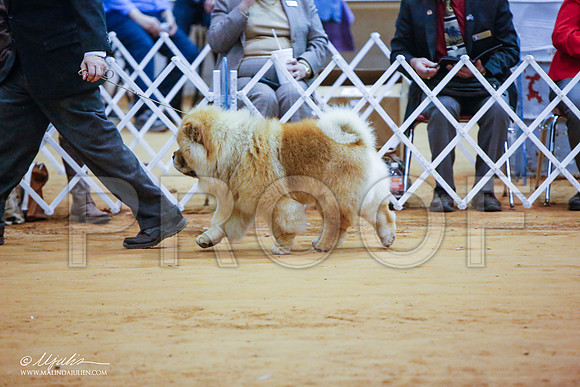 _JN_0002-GlnRoseJan2015-HR3