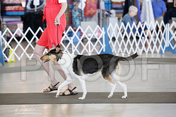 _CK_9538-DallasJul2014-HR3