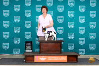 Teddy Roosevelt #158 Sun PCNWNW Judge Darci Datta