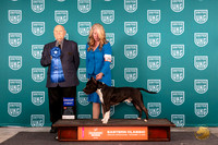 Belynda Crick Flynn UKC Eastern 2024