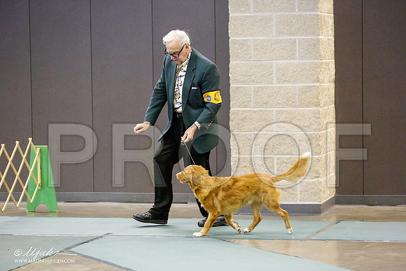 _RH_9626-BeltonJan2015-HR3
