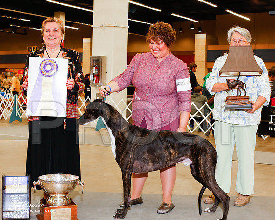 _M3_2073-AddisonHuskyMar2015-HR3