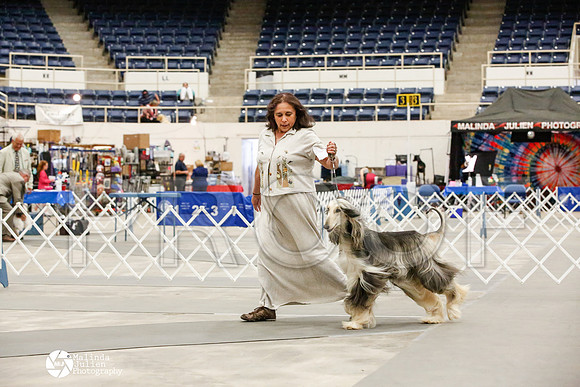 _JJ_0008-AblnMay2014-web