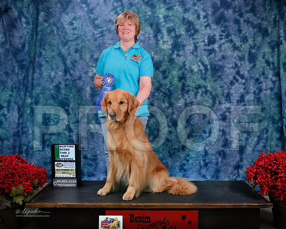 T2BPref-8854-WFOct2013-HR