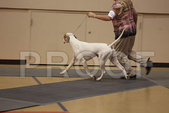 MJS_3955