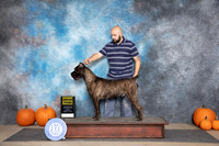 Cane Corso #15 Sun G3 Judge Jan Paulk