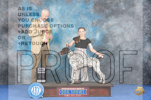 German Shorthaired Pointer #J403 Wed BJr Judge Jon Cole__JP_7541_Houston_2024_HR3