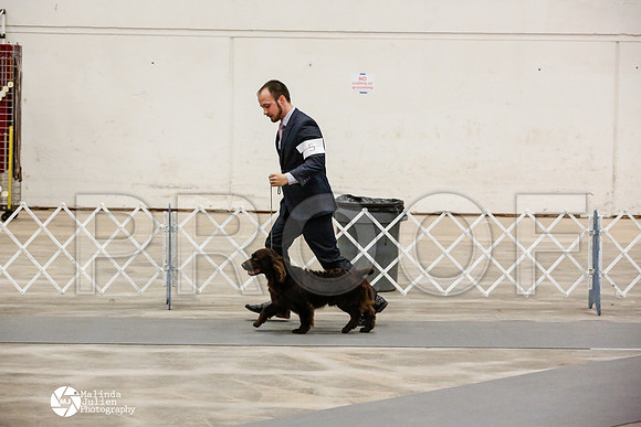 _JN_0443-AblnMay2014-web
