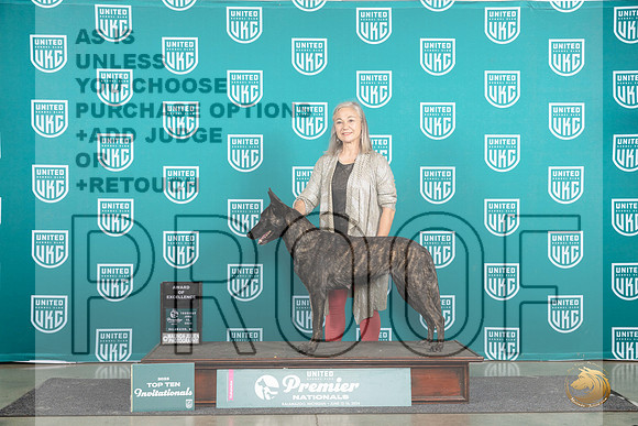 Dutch Shepherd #1107 Thur Judge Stephanie Mueller__JP_1719_Premier_2024_HR3