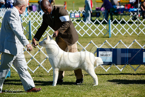 _JJ_4488-AlamogordoOct2014-HR3