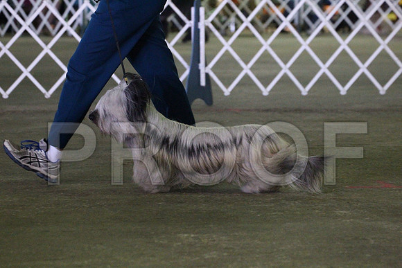 MJS_7380