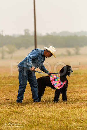 _MJ_2879-AfgBeltonOct2014-HR3