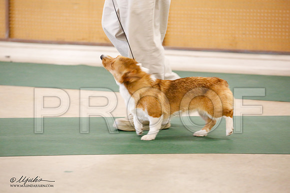 _JN_1731-NrmnNov2014-HR3