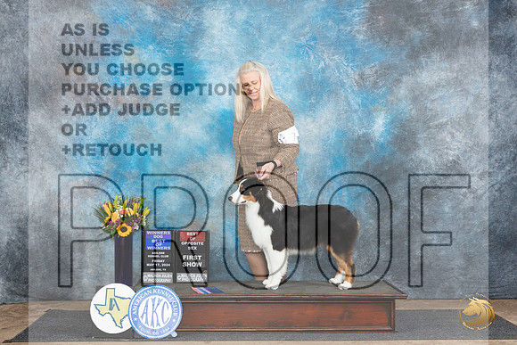Australian Shepherd #7 Fri WDBOWBOS no judge__JP_9324_Abilene_2024_HR3