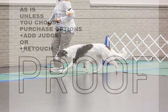 Silken Windhound Ring FRi Ring 1_JJL_5204_UKCLNGVIEWOCT2024_2024_HR3