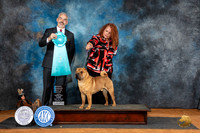 Chinse Shar Pei #9 Fri Judge Dale Martesen