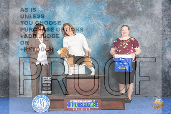 Beagle 15 #6 WED G4 Judge Barbara Scherer__JP_7219_Houston_2024_HR3