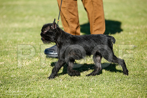 _JJ_6647-AlamogordoOct2014-HR3