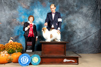 Tibetan Spaniel #19 Sun G2 Judge Donnelle Richards