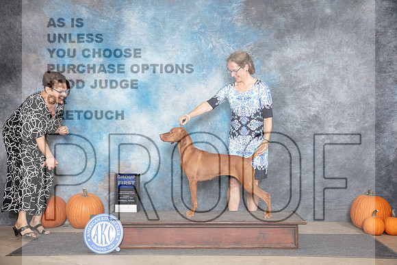 Vizsla #8 Sun G1 Judge Jan Paulk__JP_9507_Humble_2024_HR3