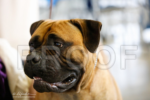 _JJ_3996-DallasJul2014-HR3