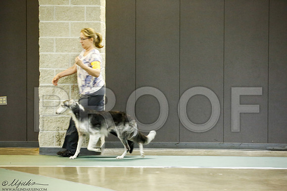 _J3L7584-BeltSep2014-HR