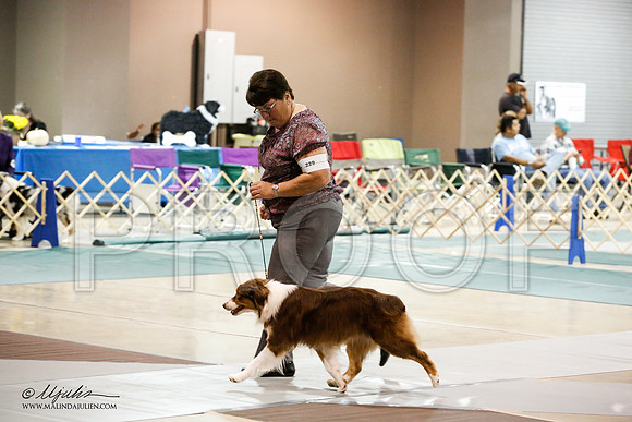 _JN_4893-ASCACollegeStationNov2014-HR3