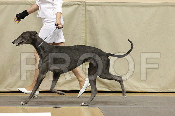MJS_5362