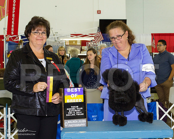 _RH_7912-DallasDec2014-HR3
