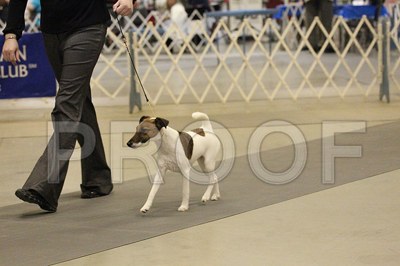 MJS_2465