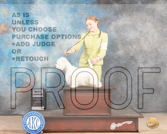 West Highland White Terrier #J601 Sat BJr Judge Sylvie Mcgee-MMJ_4113-Abilene2022-HR3