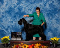 Giant Schnauzers #30 Fri NC RWB Maj Lietzau Christine E Judge Mr Douglas R Holloway Jr RESHOOT