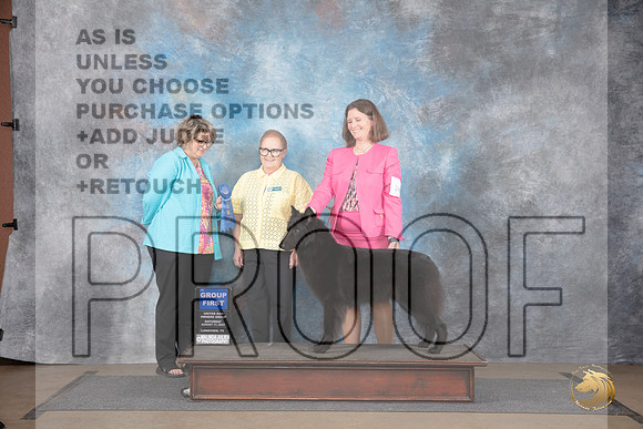 Belgian Shepherd #249 Sat G1 Judge Brenda and Jennifer Landers__JP_2731_LongviewTX_2024_HR3