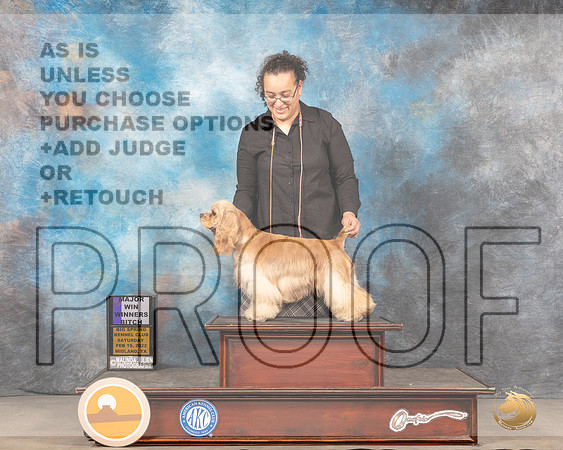 Cocker Spaniel ASCOB #14 WB Judge Jim FehringMMJ_4236_Mdlnd2022_HR3