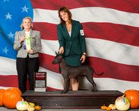 Xoloitzcuintli #6 Sat OH G2 Coons Jan Haylee Green Judge Mrs Debra Long Gschwender
