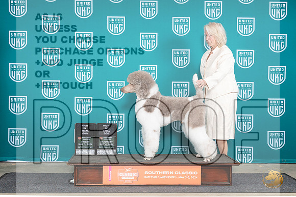 Poodle Std MC #186 FriSatHITQQQ Judge Terri Rein__JP_6570_BatesvilleMS_2024_HR3