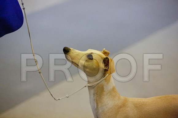 _JN_8411-AmarilloSept2014-HR3