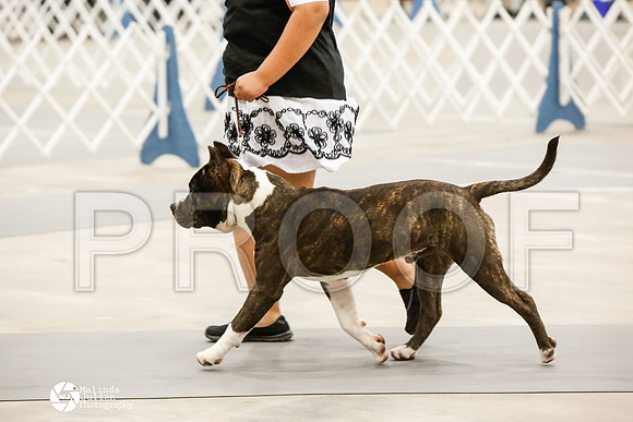 _CK_8720-AblnMay2014-web