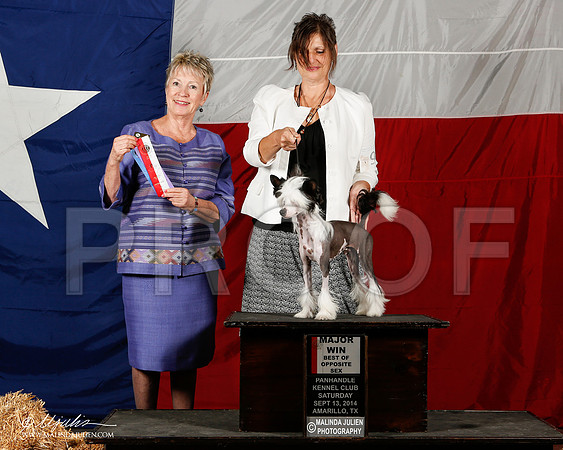 _ST_1895-2-AmarilloSep2014-HR3
