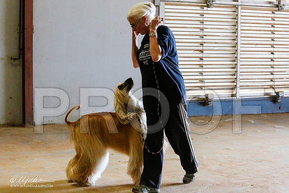 _MJ_2376-AfgBeltonOct2014-HR3