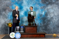 Poodle Miniature #8 Sun BOVBOW Judge Larry Abbott