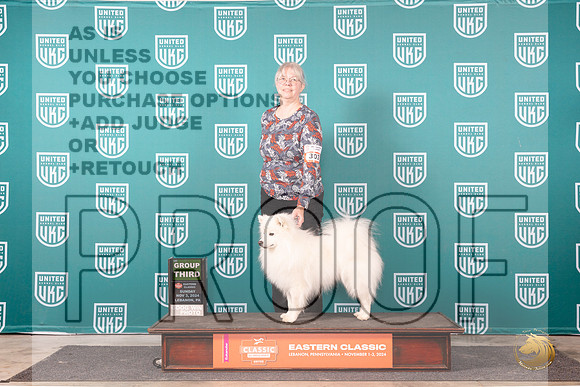 American Eskimo #303 Sun G3 Judge Larry Hansen__JP_2274_UKCEastern_2024_HR3