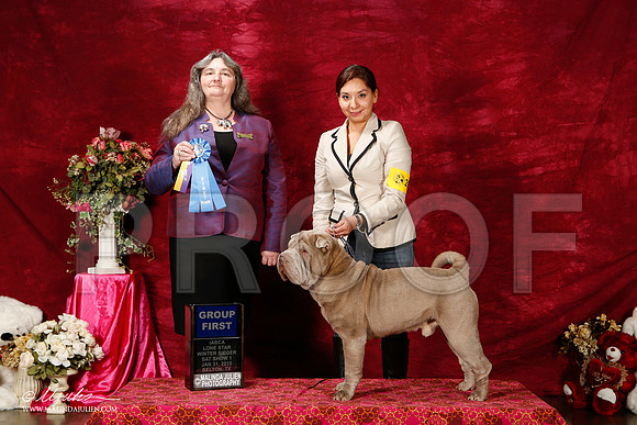 _ST_2640-2-BeltonJan2015IABCA-HR3